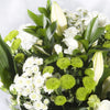 Mixed Hand Tied Bouquet White And Green