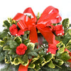 Christmas  Wreath