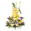 Orchild Arrangment