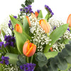Tulip Bouquet