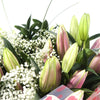 Pink Lily Handtied Bouquet