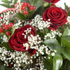 Three Red Roses