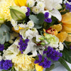 Orchild Arrangment