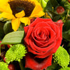 Sun Flower Handtied Bouquet
