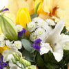 Orchild Arrangment