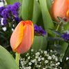 Tulip Bouquet