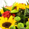 Sun Flower Handtied Bouquet