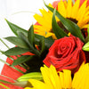 Sun Flower Handtied Bouquet