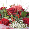 Handtied 12 Red Roses Bouquet