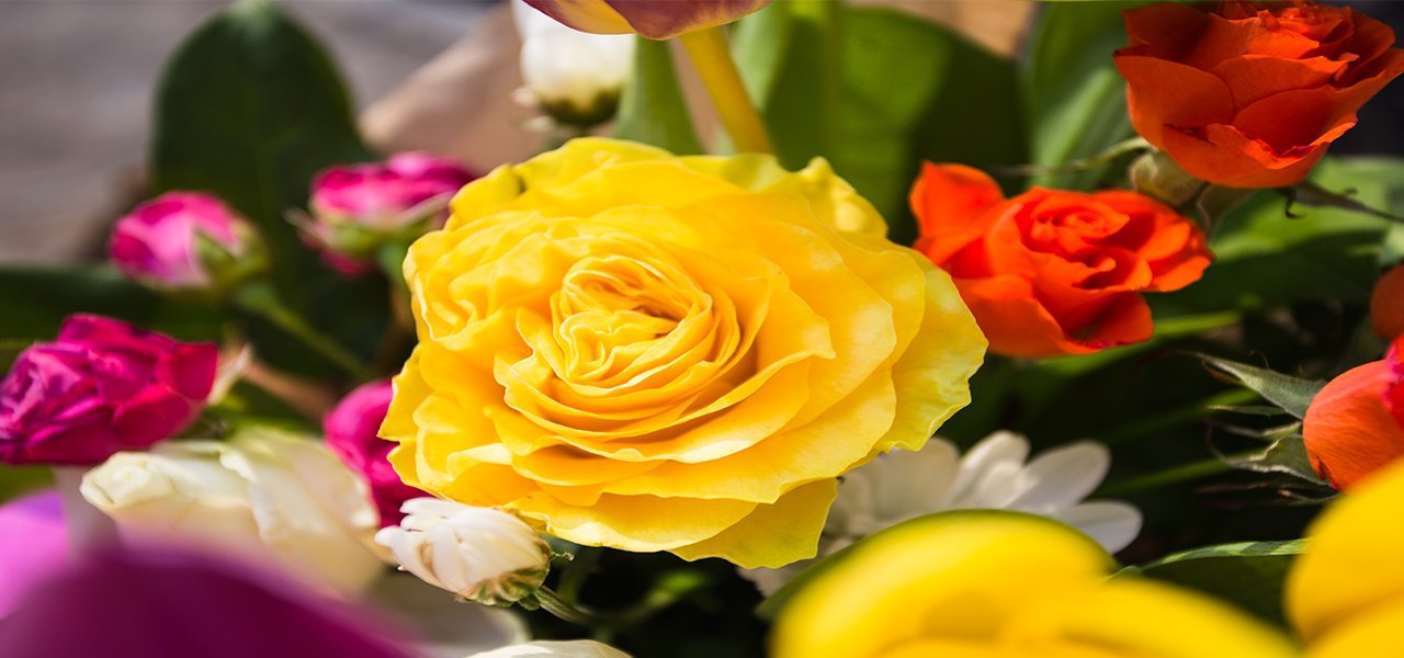 College Road Florists 